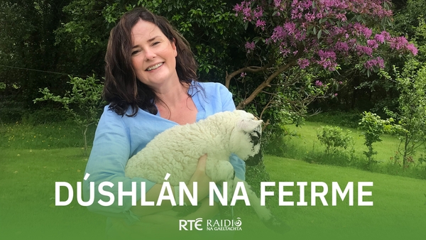 Podchraoladh - Dúshlán na Feirme