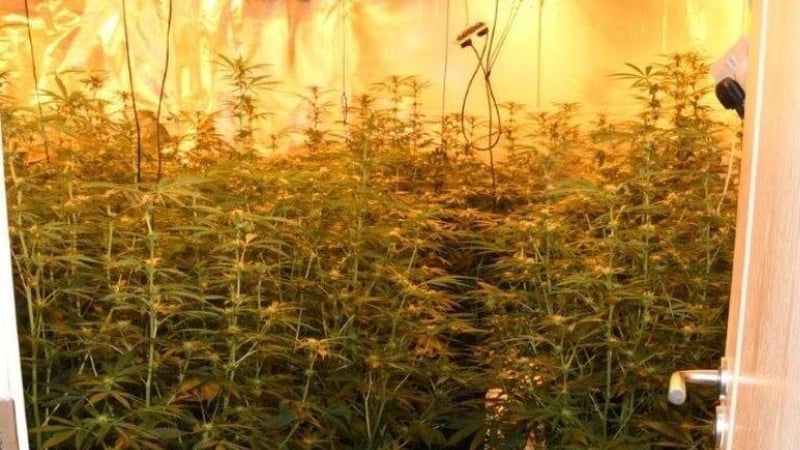 The drugs have an estimated street value of €156,000 (image: garda info)