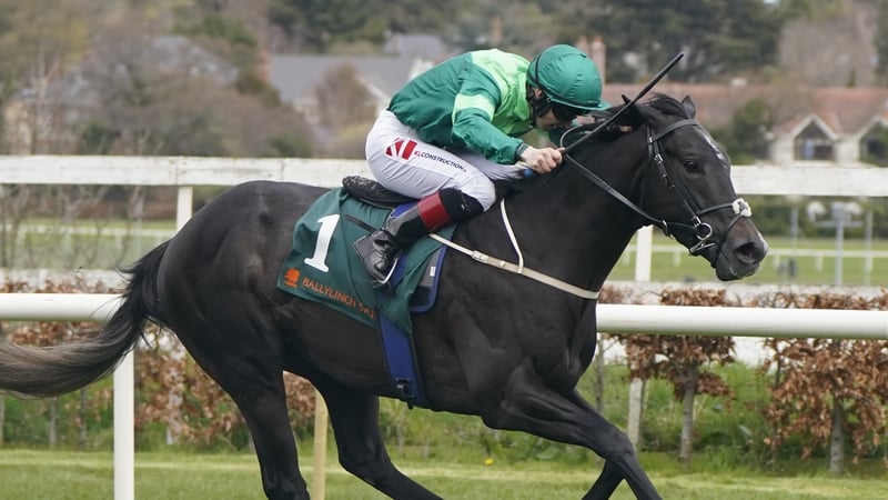 Dr Zempf is unbeaten in two trips to Leopardstown