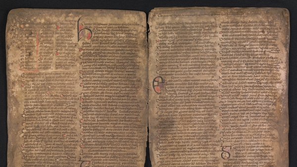 Pages from the 'Book of Leinster' were too delicate to be put on display