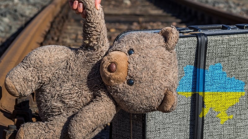 Ukrainian refugees who came to Ireland in 2022 and 2023, and who are in State-provided accommodation, will have their payments cut from €232 a week to €38.80