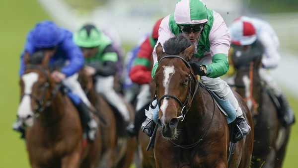Jim Crowley drives Royal Scotsman home to win the British EBF Novice Stakes at Goodwood last month