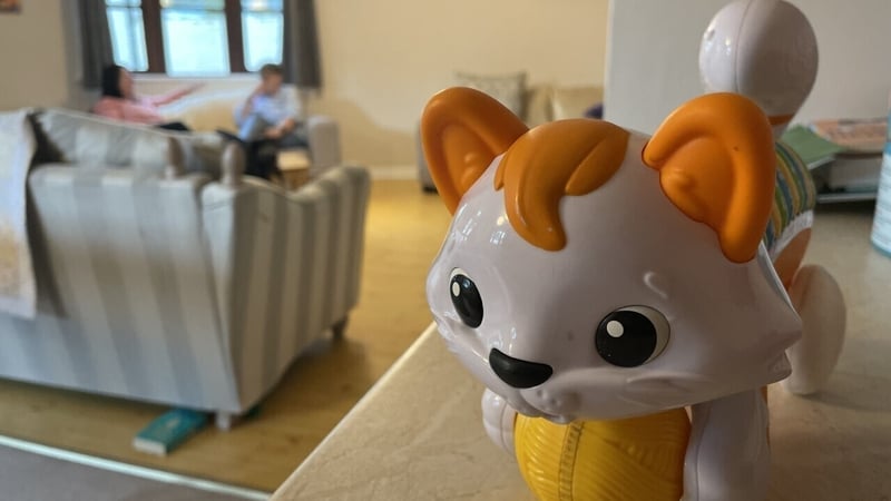 Support workers at Wexford Women's Refuge say women are afraid to leave their homes due to accommodation issues