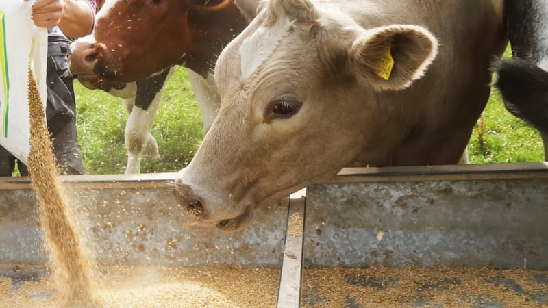 Governments are allowed to claim derogations or exceptional circumstances to permit certain cargo to be landed