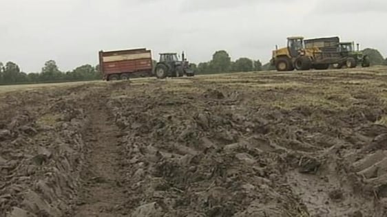 Muddy fields, County Cavan (2007)