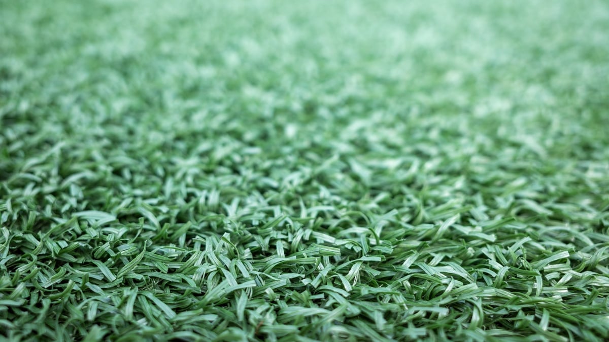 Should artificial lawns be banned?
