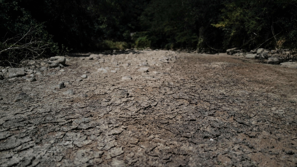 Temperatures in Europe increase twice as much as global average ...