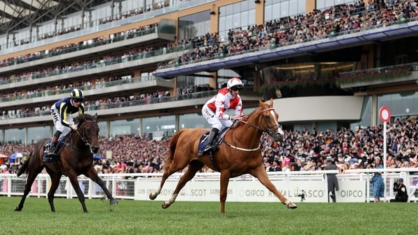 Holloway Boy did not go unbacked on his racecourse debut, with the son of Ulysses available at 150-1 this morning and at bigger prices on the exchanges