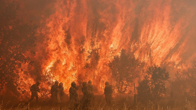 Firefighters operate at the site of a wildfire in Pumarejo de Tera near Zamora, northern Spain, on June 18, 2022