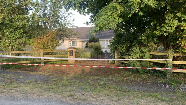 Hillary Smith, 79, and Nicholas Smith, 82, were dead at least a year when their remains were discovered on 20 June 2022 at their home in Rosanne, Cloneen