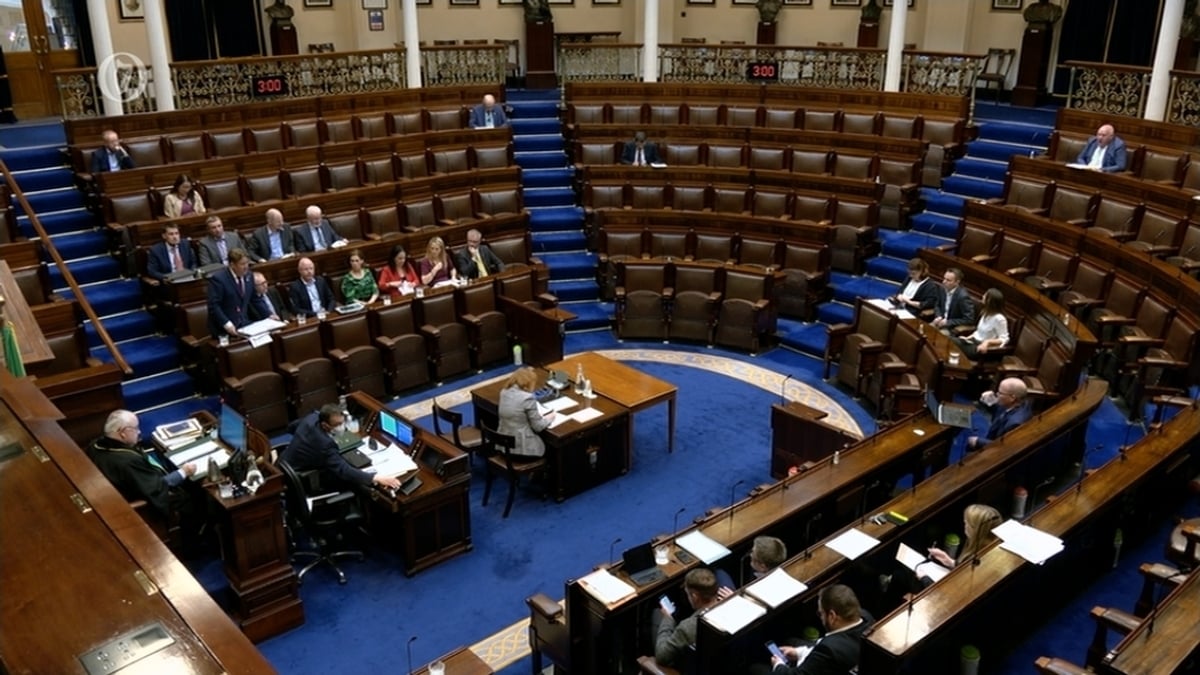 'Social Cohesion' and Exchanges in the Dail