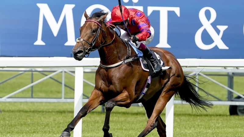 Dreamloper is unbeaten in two starts this term