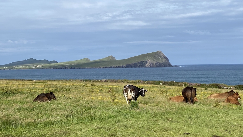 Corca Dhuibhne