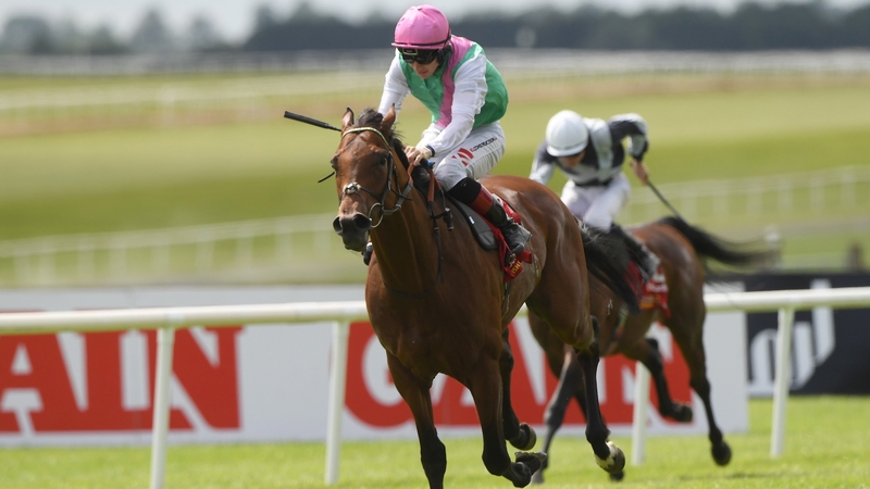 Westover won this year's renewal of the Irish Derby