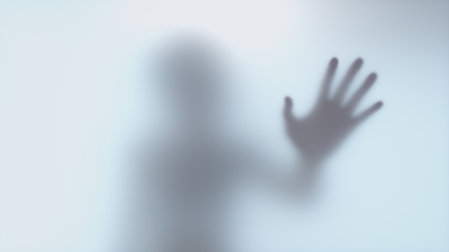 Organisations that work with victims of domestic violence have welcomed the publication of the 'zero tolerance' strategy