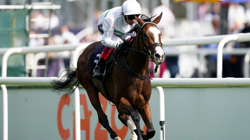 Free Wind has won five of her seven career starts