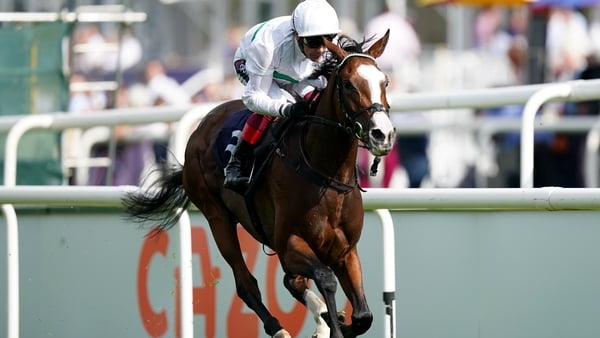 Free Wind has won five of her seven career starts