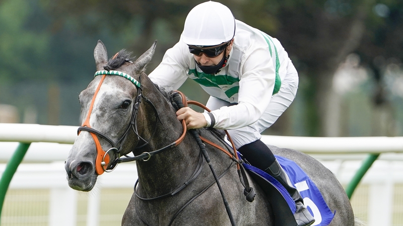 Alpinista overcame a 238-day absence to win the Group One Grand Prix de Saint-Cloud ahead of race-fit rivals
