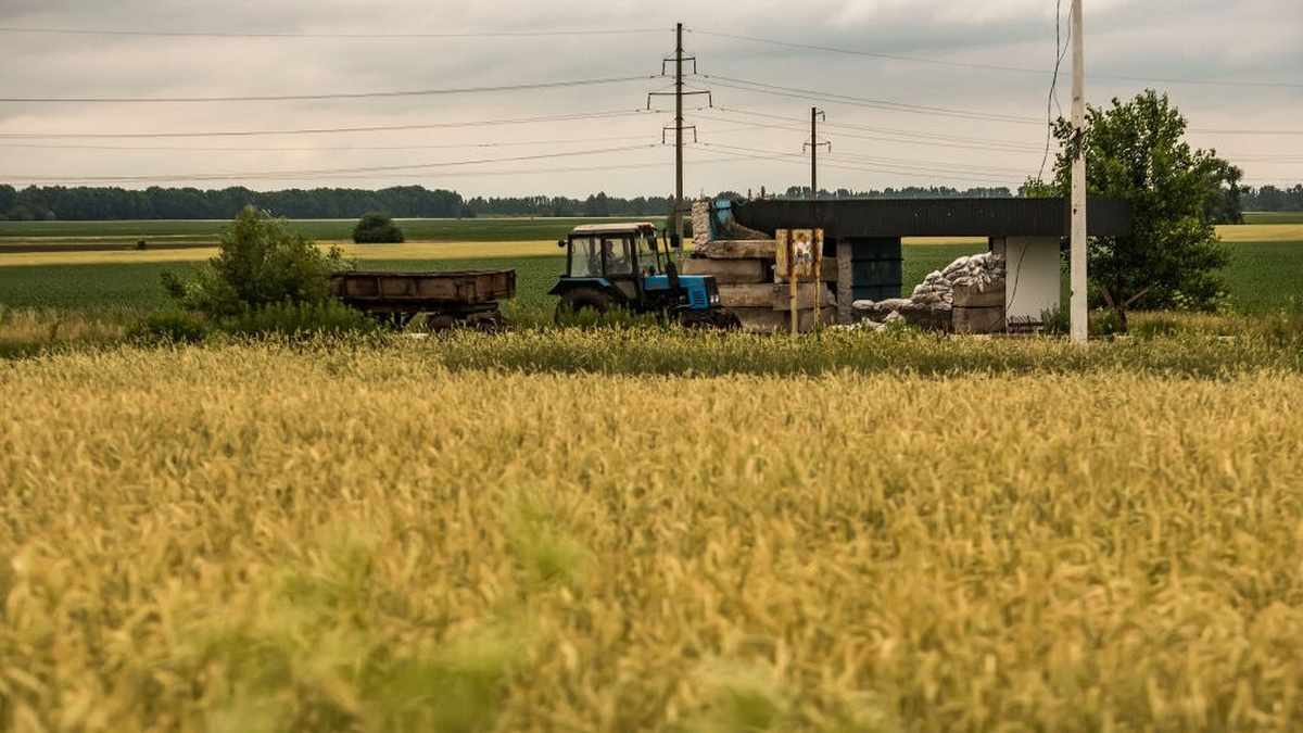 The future of farming in Ukraine