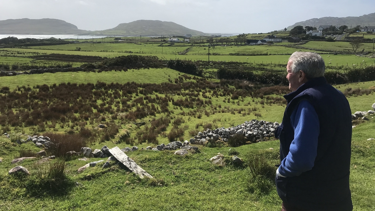 Dúshlán na Feirme, Caoirigh.