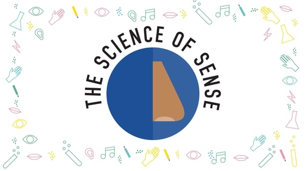 The Science of Sense: Follow your nose!