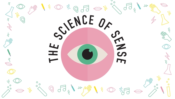 The Science of Sense: How have our eyes evolved?