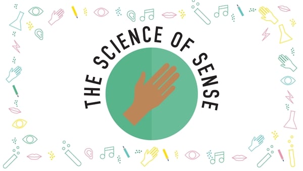 The Science of Sense: Find out why Touch is so important