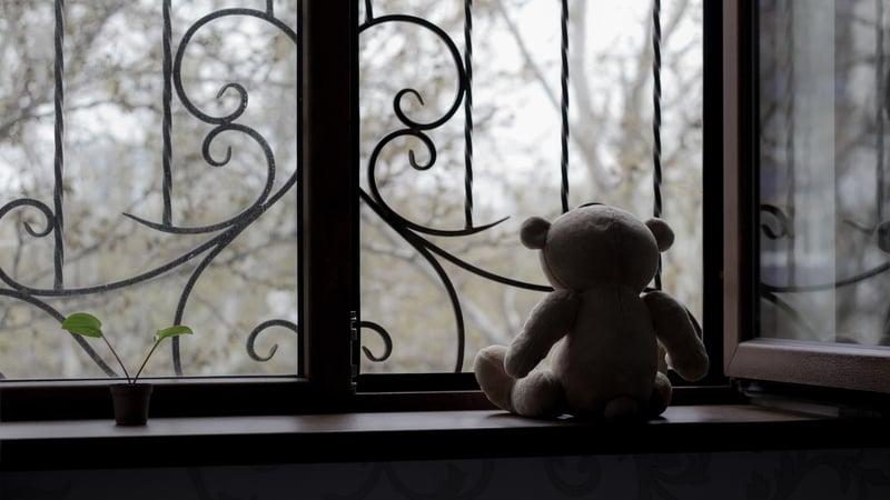 All indicators of survivors' need for services have risen since before the pandemic, says RCNI