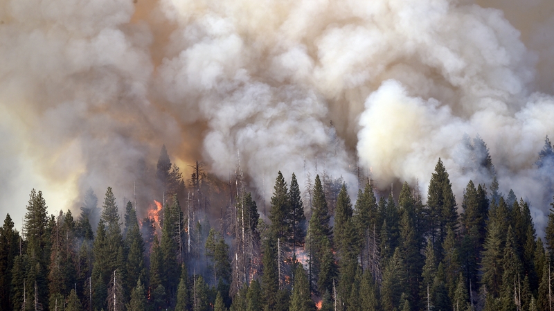 Smoke and flames rise as Yosemite National Park burns
