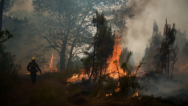 A firefighter takes position at a a forest fire in southwestern France