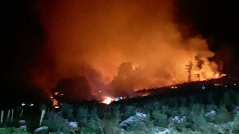 The blaze at Crone Woods has been brought under control