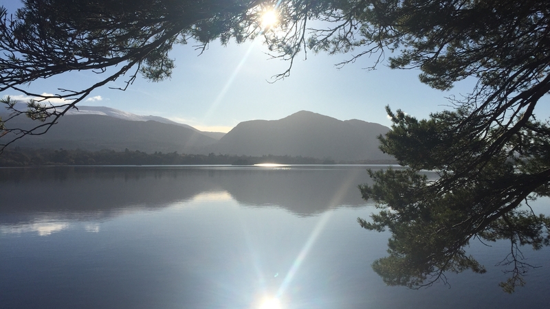 Lough Leane, the largest of the Lakes of Killarney, is impacted by an algal bloom