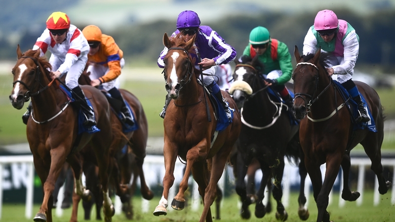 Proud And Regal (C) pictured winning at the Curragh last month