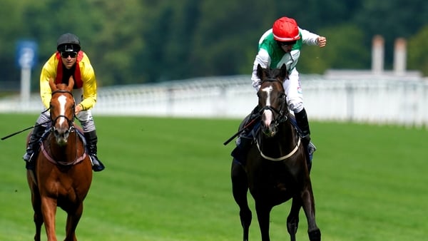 Pyledriver is a best-price 14-1 for the Prix de l'Arc de Triomphe