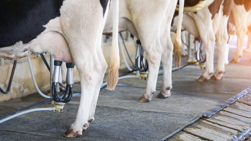 Output prices for milk were down 27.5% last year, new CSO figures show today
