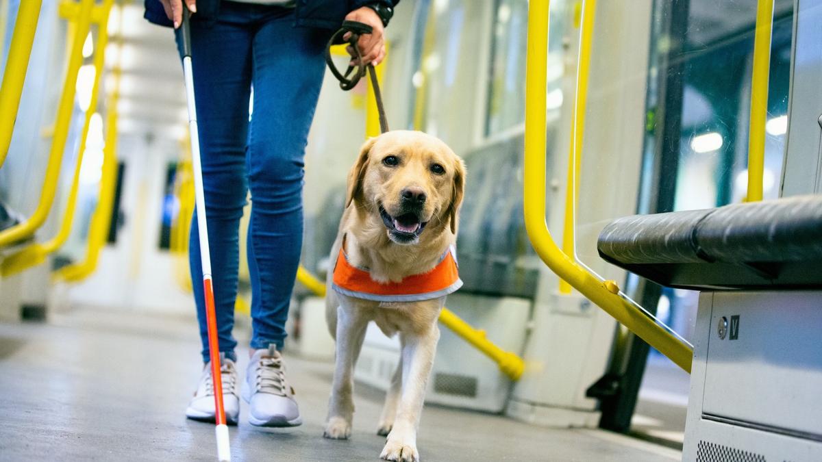 Dr Aoife Kearney  - Visual Impairment