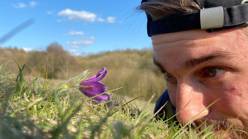 Leif Bersweden reveals how plants can turn into vampires, play the mating game with insects and make their smooth leaves spiky.