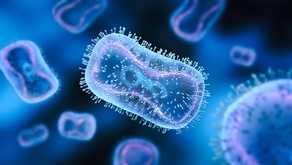 The WHO has said that much is already known about the mpox virus and the means to control it