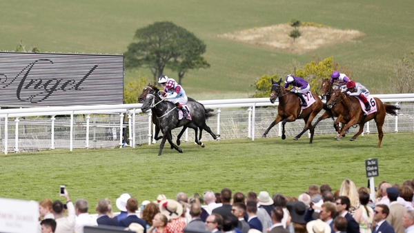 Oscula (far rail) eventually reeled in the grey Internationalangel in the Whispering Angel Oak Tree Stakes