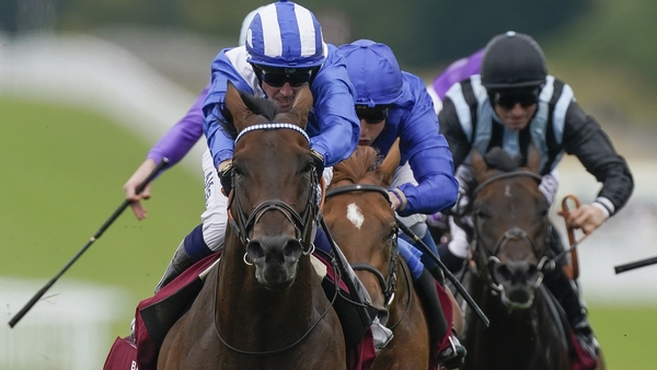 Baaeed is set to race beyond a mile for the first time in next month's Juddmonte International at York
