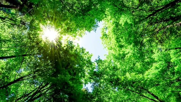 Global Footprint Network said Earth Overshoot Day has fallen ever sooner over the last 50 years