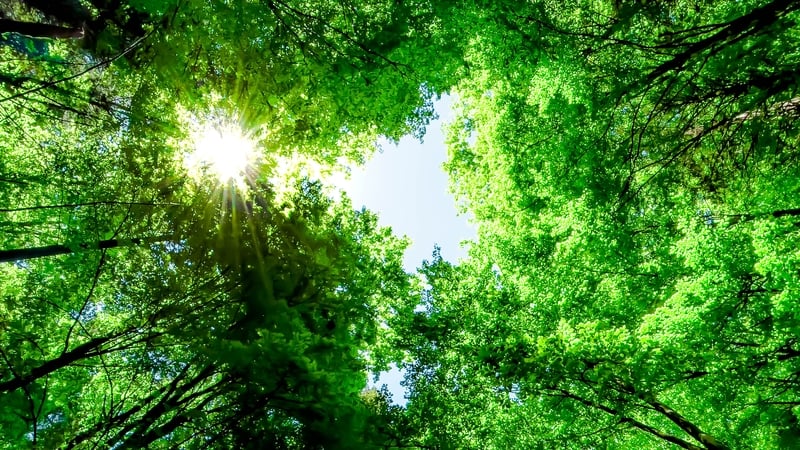 Binding targets are to be set for all 27 EU members