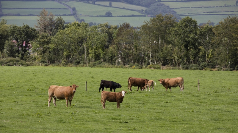 An rialtas le laghdú 25% a lorg ar astaíochtaí ó thalamhaíocht