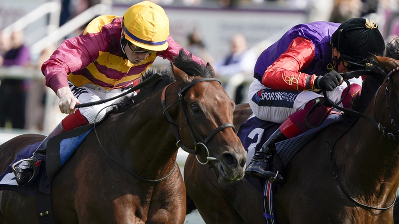 David Egan and Bayside Boy win The Champagne Stakes at Doncaster last September
