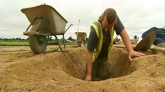 Lismullin Archaeological Dig (2007)