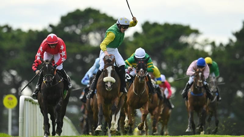 Tudor City retains all his enthusiasm as the age of 10 and after 64 career outings