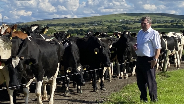 Padraig Mulligan milks 700 cows at his farm in Templeboy in west Sligo