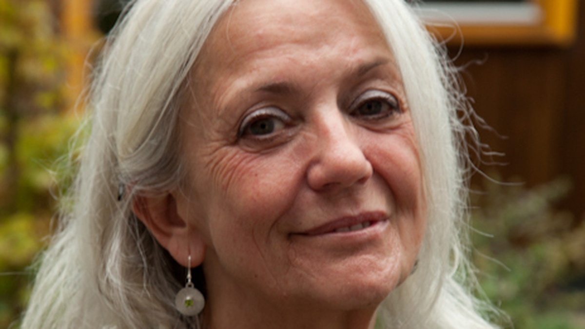 The Solace of Artemis - Paula Meehan