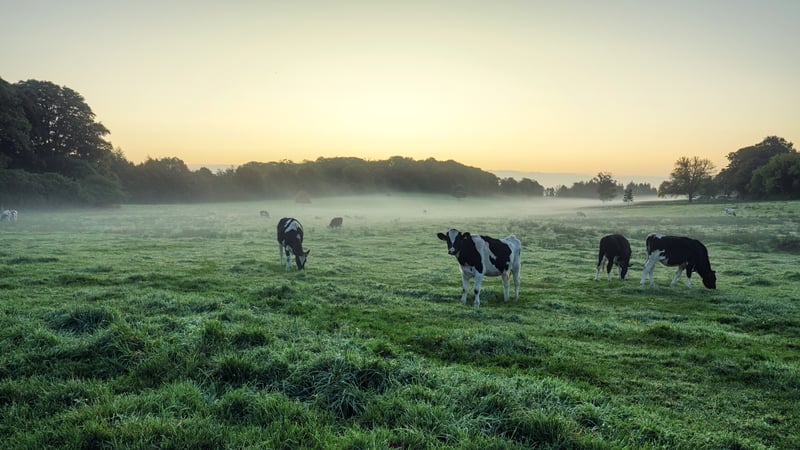 Figures released earlier this week show Ireland is already on the back foot when it comes to emissions targets