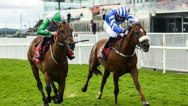 Hallowed Star, with Jordan Gainford up (L) won the Adare Manor Opportunity Handicap Hurdle